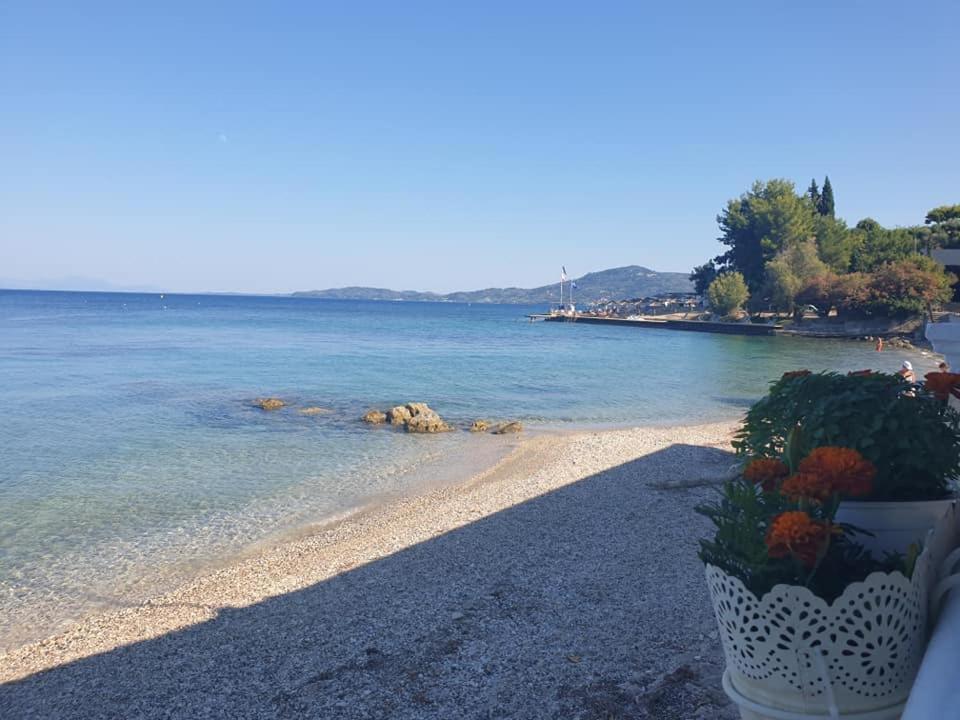 Ionian Mare Aparthotel Agios Ioannis Peristerion Exteriör bild