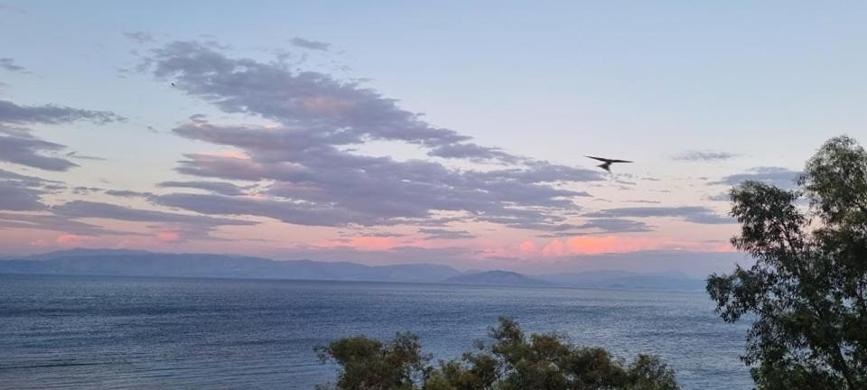 Ionian Mare Aparthotel Agios Ioannis Peristerion Exteriör bild